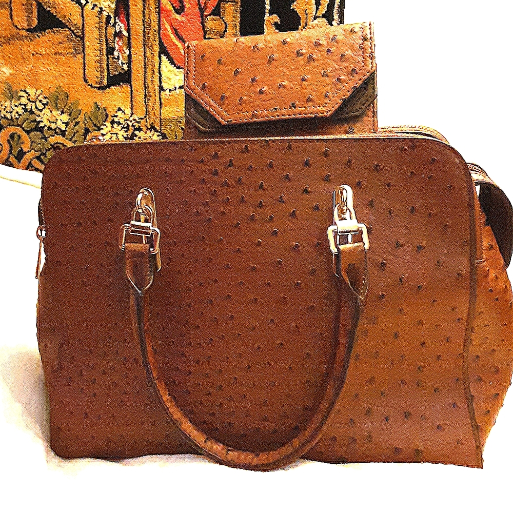 Cato NWOT handbag w matching wallet